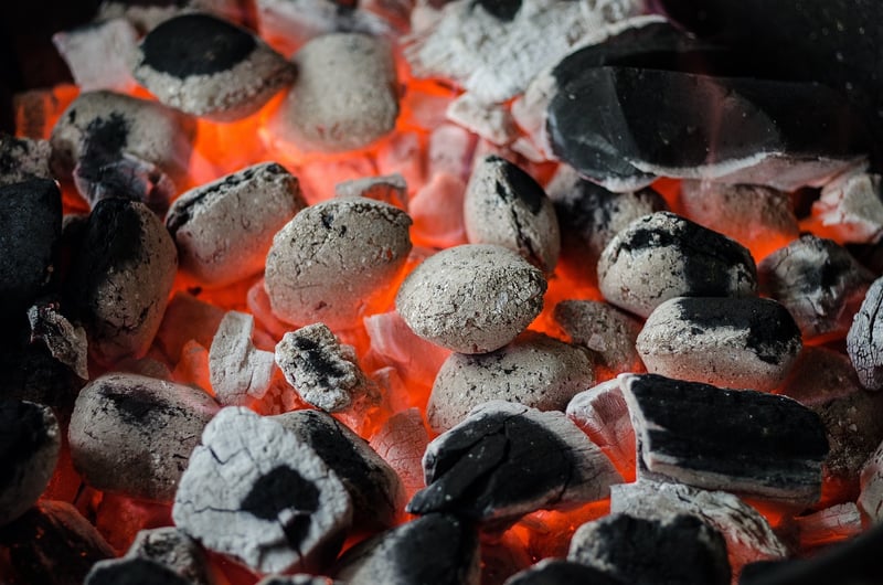 Organic Meat Cooking